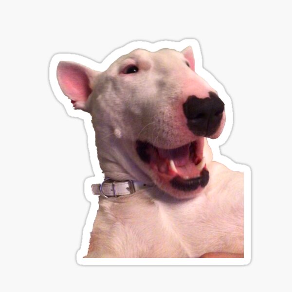 Item preview, Excited Walter Meme designed and sold by Trumpsyy.