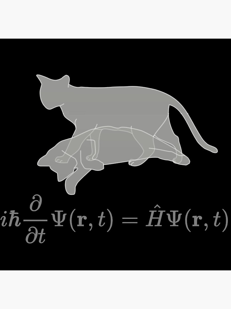 schrodinger's cat equation shirt