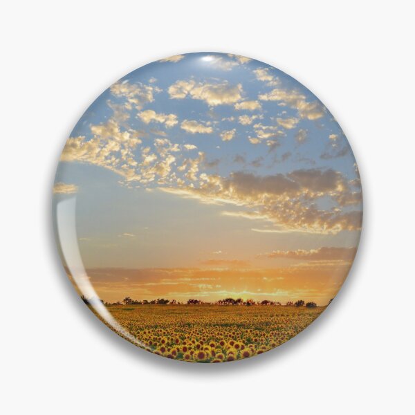 Item preview, Kansas Sunflowers at Sunset designed and sold by Catherine Sherman.