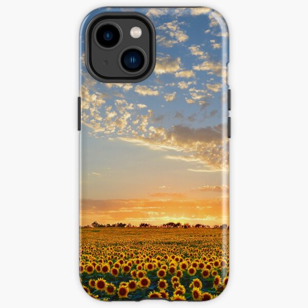 Kansas Sunflowers at Sunset iPhone Tough Case