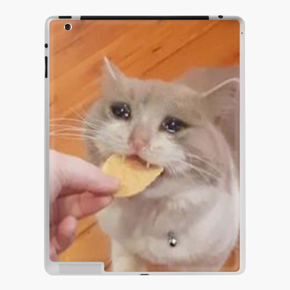 sad cat eats chip