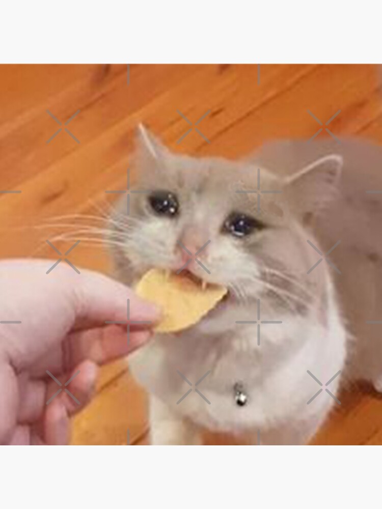 sad cat eats chip Pillow