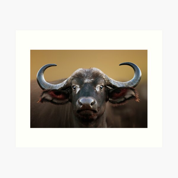Item preview, African Buffalo Portrait designed and sold by wazoosi.