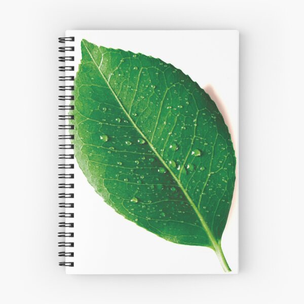 Item preview, Tree leaf  designed and sold by Debajit Kro.