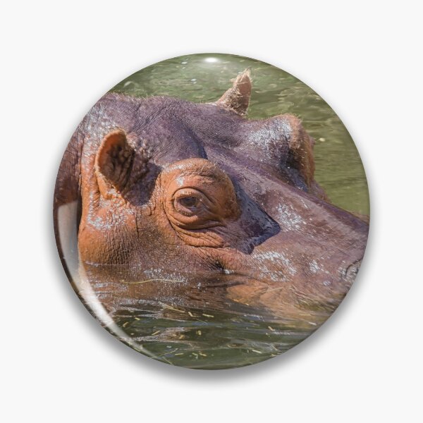 Item preview, He's looking at you designed and sold by Photopat.