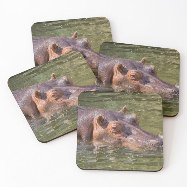 Item preview, He's looking at you designed and sold by Photopat.