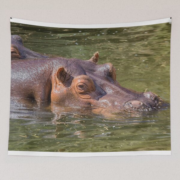 Item preview, He's looking at you designed and sold by Photopat.