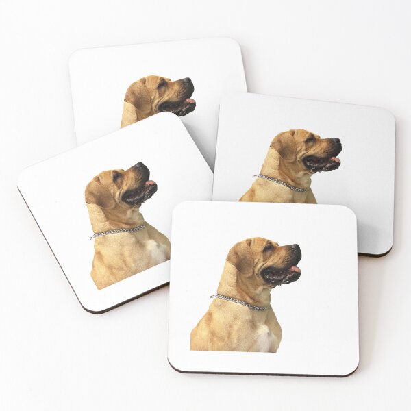 Item preview, Party t-shirts dog designed and sold by Bhaskaran Parakkottil.