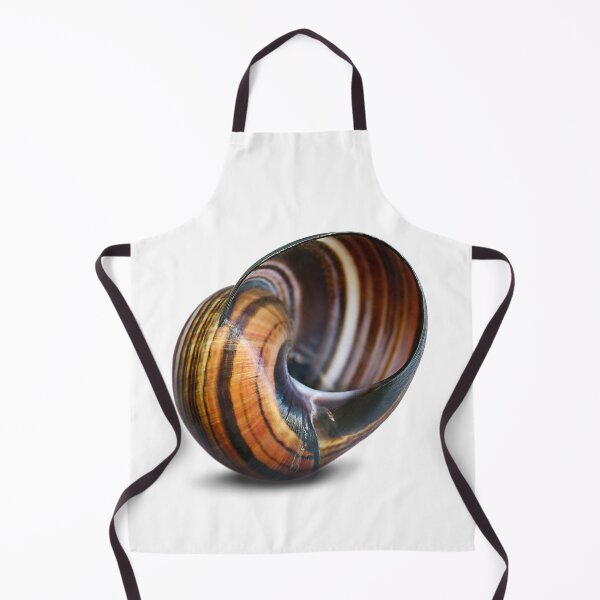 Item preview, The rain makes the snails appear. designed and sold by Marc DEFORTESCU.