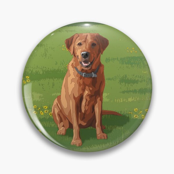 Artikelvorschau, Fox Red Yellow Labrador Retriever Jagdhund entworfen und verkauft von csforest.