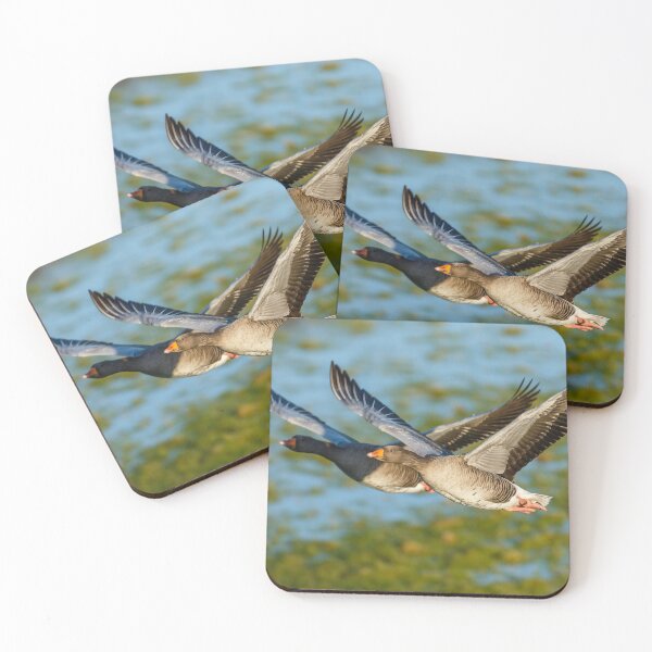 Item preview, Me and my Shadow goose designed and sold by Dalyndigital Photography.