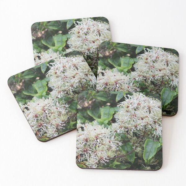 Item preview, wet clematis seeds  designed and sold by pinkal.