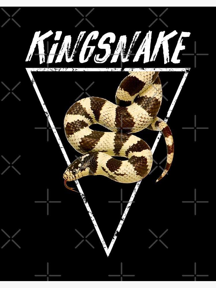 California Kingsnake Snake Keeper Poster for Sale by JRRTs