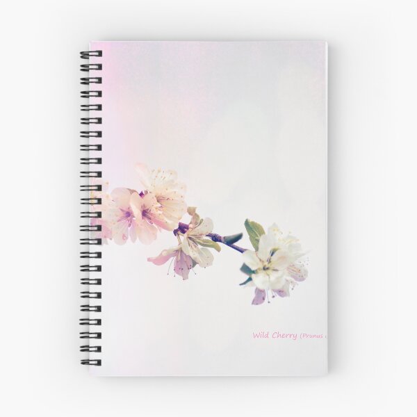 Item preview, Wild Cherry (Prunus avium) Blossom designed and sold by Hugh McKean.