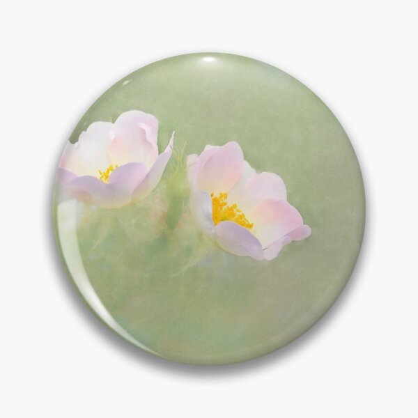 Item preview, Photo art, White dog rose (Rosa cania)  designed and sold by Hugh McKean.