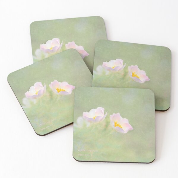 Item preview, Photo art, White dog rose (Rosa cania)  designed and sold by Hugh McKean.