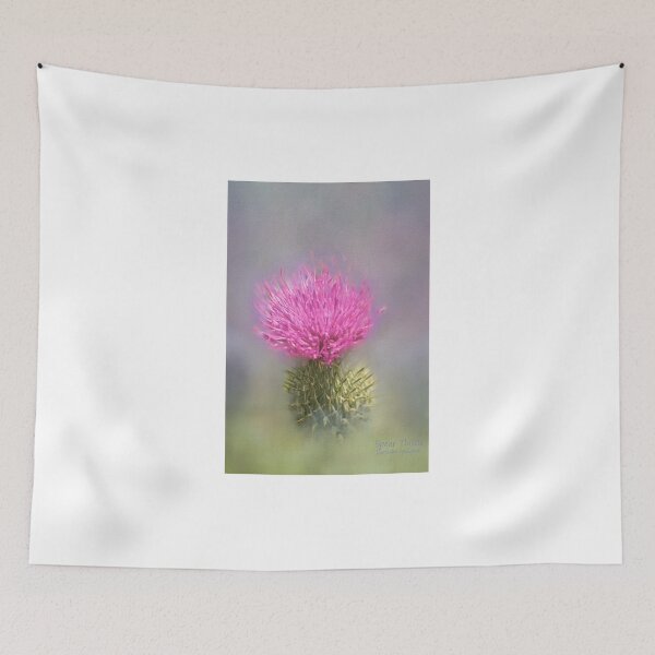 Item preview, Photo art, Spear Thistle (Cirsium vulgare) designed and sold by Hugh McKean.