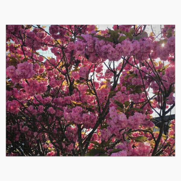 Random Puzzlemount Fuji Cherry Blossom 1000-piece Jigsaw Puzzle For Adults  - Unisex Gift