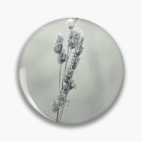 Item preview, Grass, Cocksfoot, black & white film effect designed and sold by Hugh McKean.