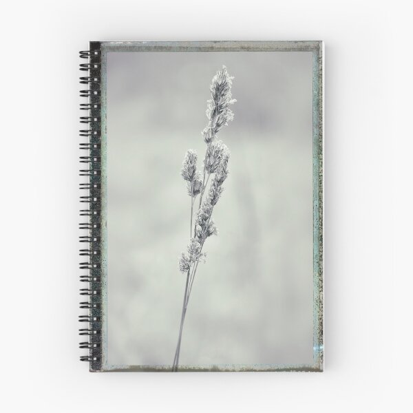 Item preview, Grass, Cocksfoot, black & white film effect designed and sold by Hugh McKean.