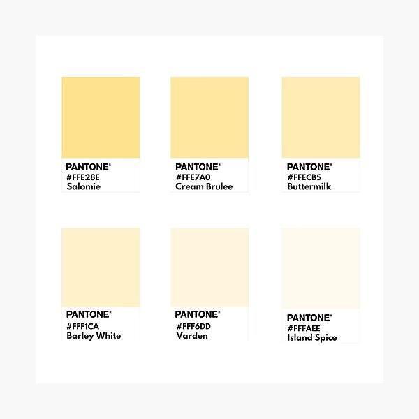 Pastel Yellow Palette Pantone Color Swatch Photographic Print By