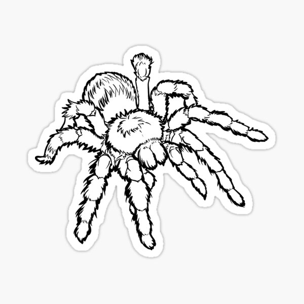 Item preview, Tarantula with Black Outline designed and sold by RJKpoyp.