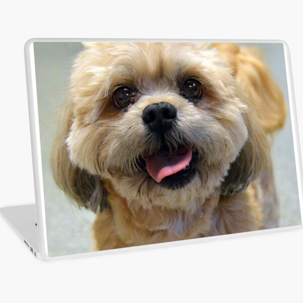 Smiling Shih Tzu Dog Laptop Skin