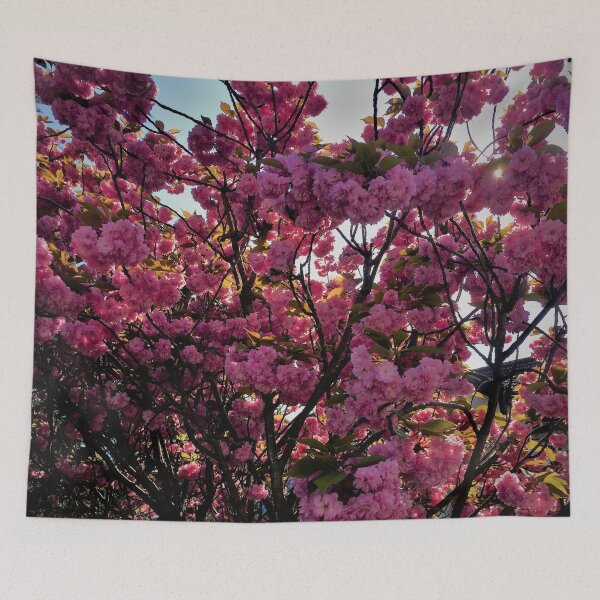 Item preview, Cherry Blossom designed and sold by joabaj.