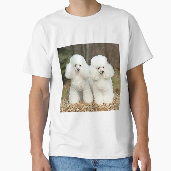 Vista previa del artículo con la obra «Caniche blanco lindo perro mascota dos mascotas cachorro», diseñado y vendido por Coolstuff4you71.