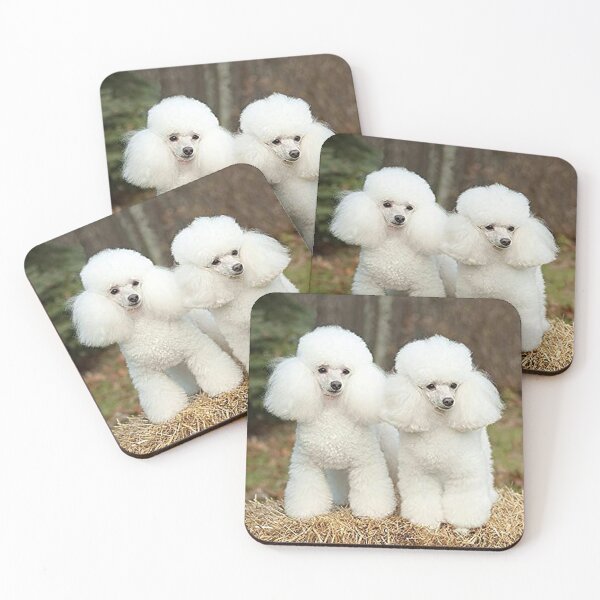 Item preview, Poodle white cute pet dog dos pets puppy designed and sold by Coolstuff4you71.