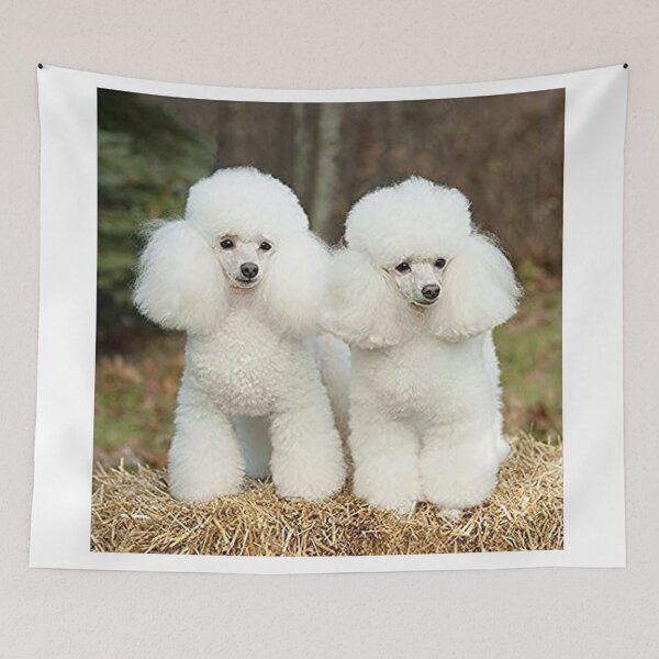 Item preview, Poodle white cute pet dog dos pets puppy designed and sold by Coolstuff4you71.
