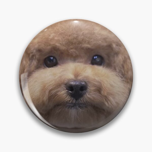 Item preview, Poodle full face cute pet dog dos pets puppy designed and sold by Coolstuff4you71.