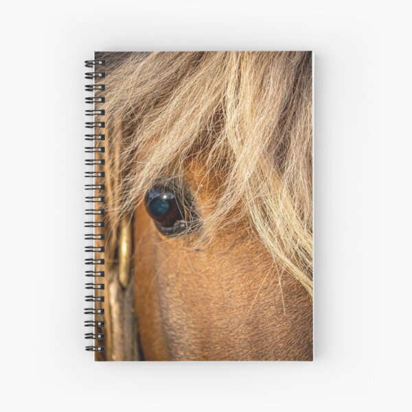 Aperçu de l'œuvre Cheval miniature gros plan créée et vendue par Mimi Foley.