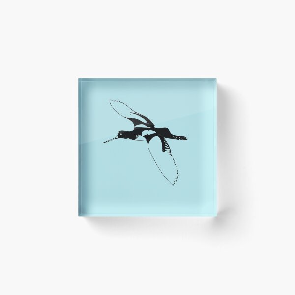 Item preview, American Avocet Black Print designed and sold by designsasstultd.