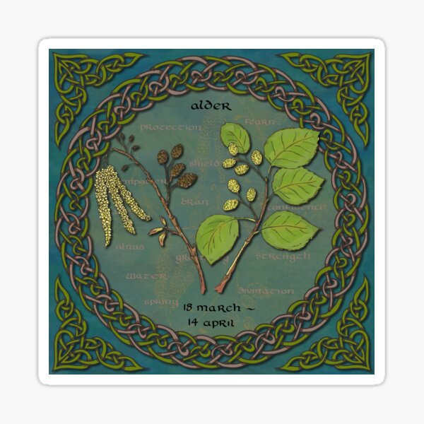 Tree Calendar Alder Sticker