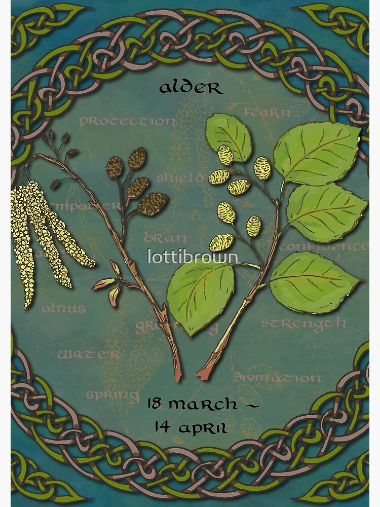 Tree Calendar Alder by lottibrown