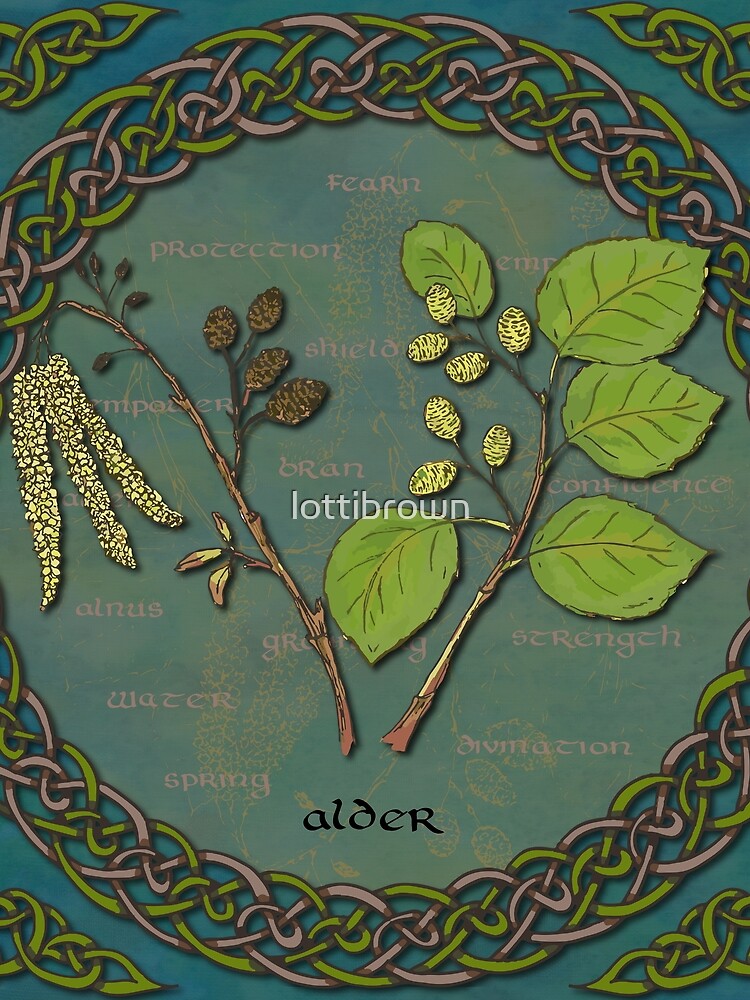 Celtic Alder by lottibrown