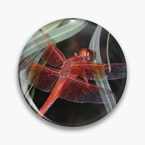 Item preview, Crimson Dragonfly designed and sold by bubblenjb.