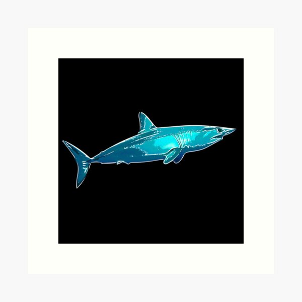 MACO SHARK art 8x10  artist prints animals impressionism gift new 