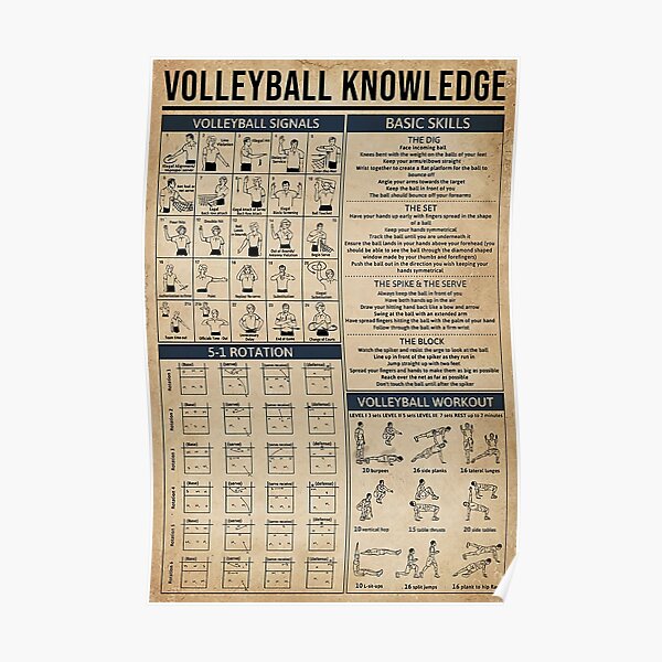 Volleyball Knowledge Poster