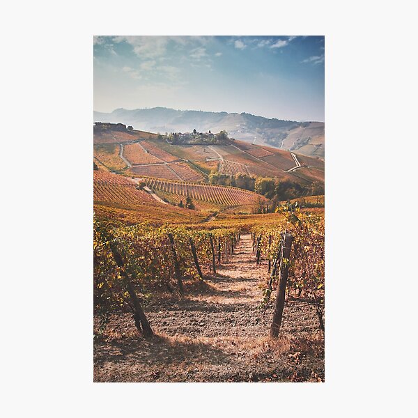 Item preview, panorama of the langhe in autumn designed and sold by davidgan8621.