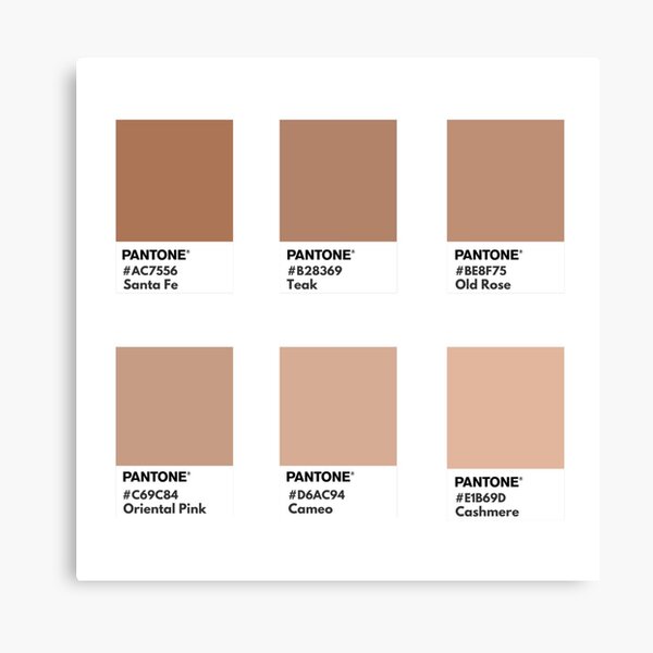 Neutral brown color palette color swatch  Canvas Print for Sale