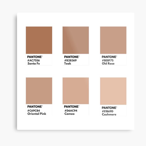 Pantone Brown Metal Prints for Sale