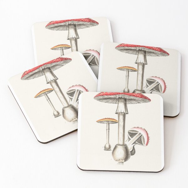 Item preview, Mushroom Illustration designed and sold by SFTStudio.