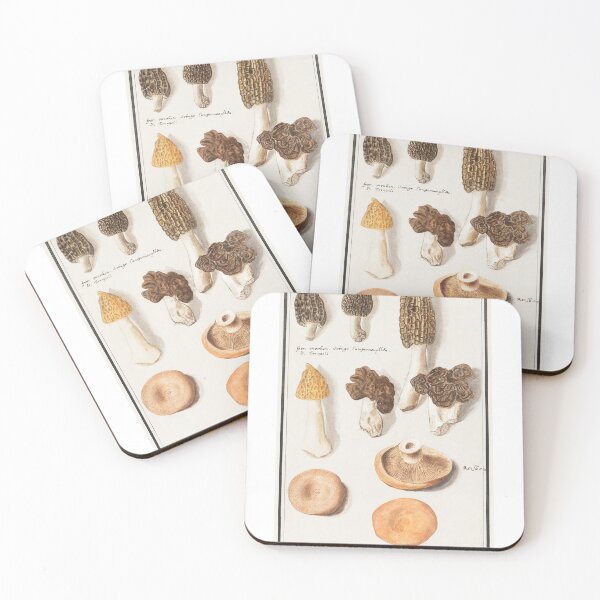Item preview, Mushroom Botanical Illustration designed and sold by SFTStudio.