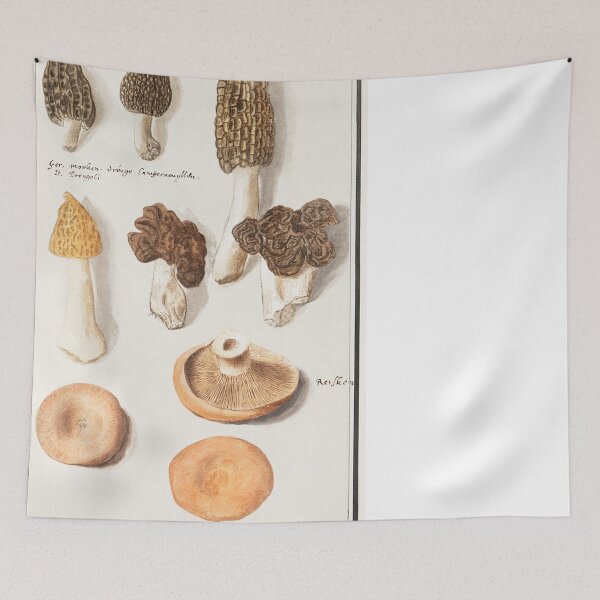 Item preview, Mushroom Botanical Illustration designed and sold by SFTStudio.