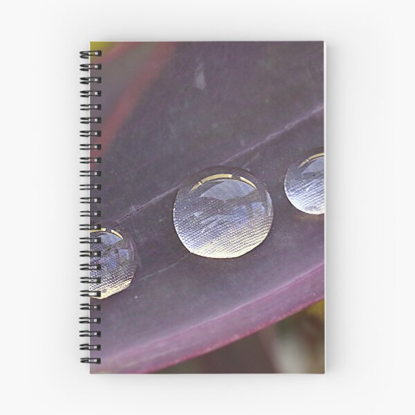 Item preview, Drip, drip, drip.  designed and sold by Paul Pasco.