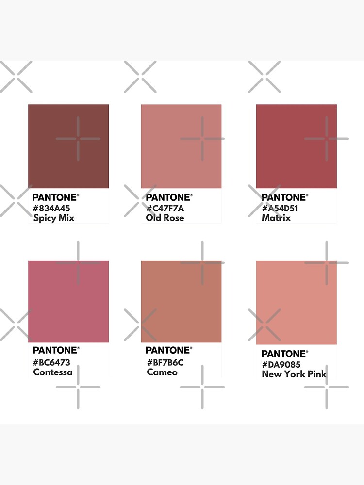 Pantone Cameo Pink  Pantone palette, Pantone color, Color palette