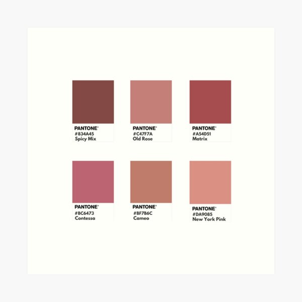 Nude color palette pastel texture background for branding product