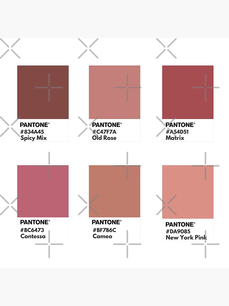Pantone Cameo Pink  Pantone palette, Pantone color, Color palette pink